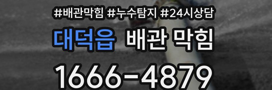 대덕읍 배관 막힘