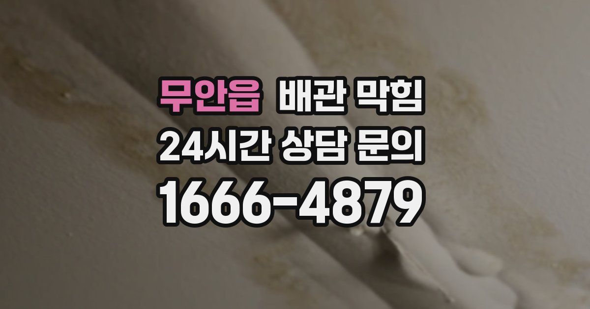 무안읍 배관 막힘