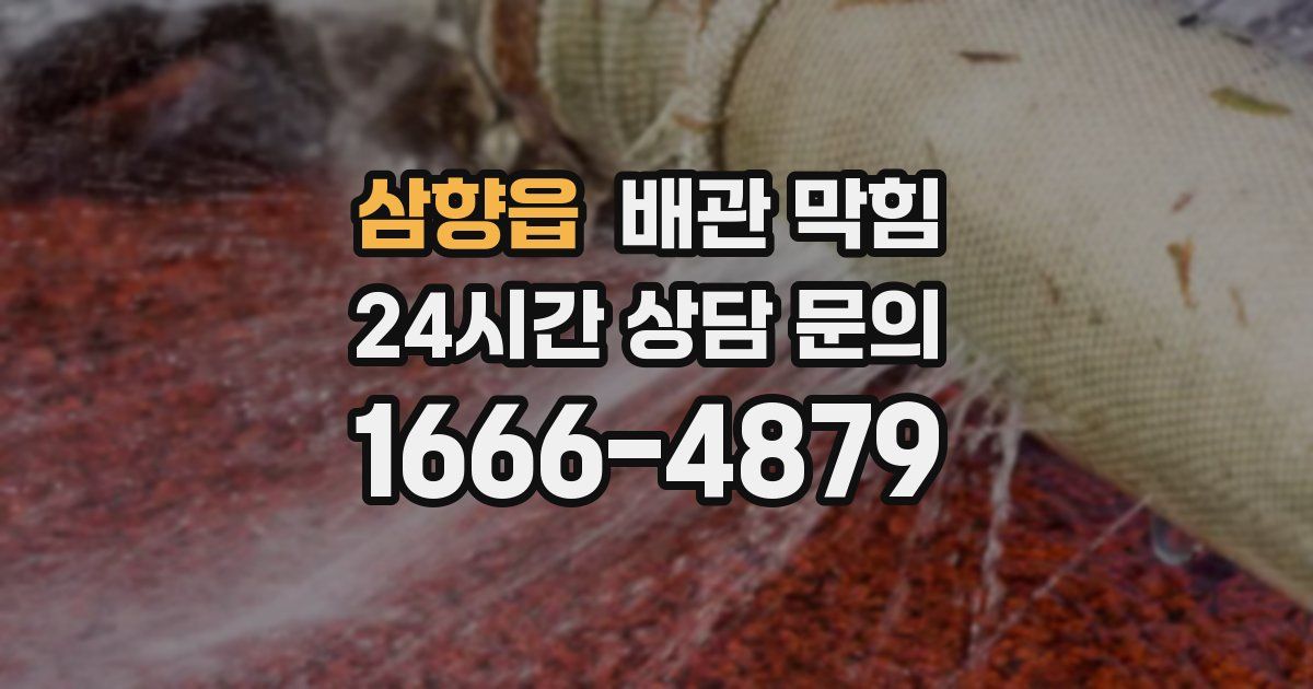 삼향읍 배관 막힘