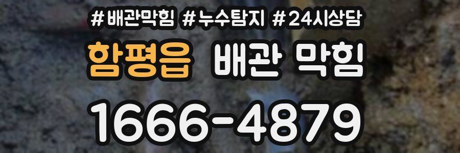 함평읍 배관 막힘