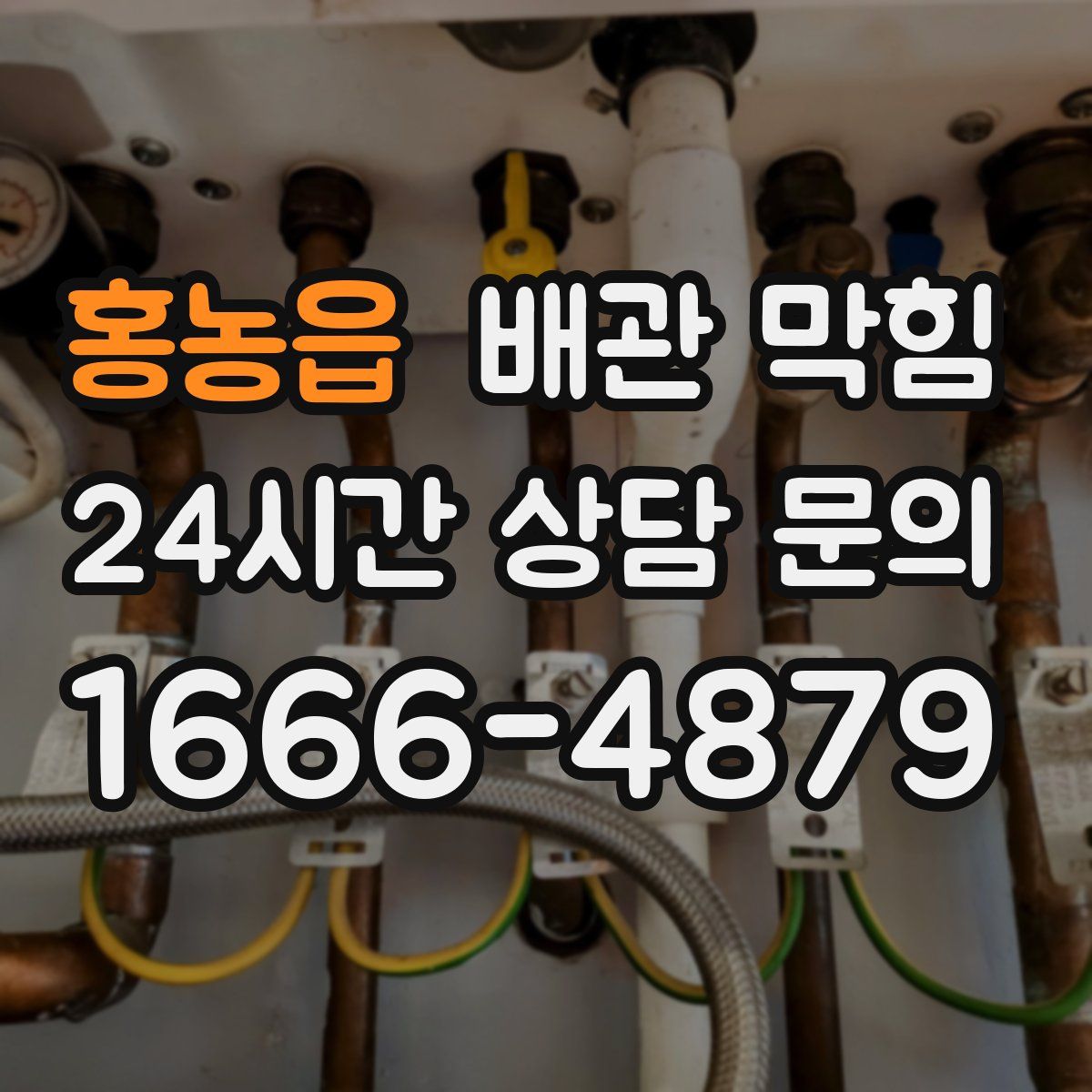 홍농읍 배관 막힘