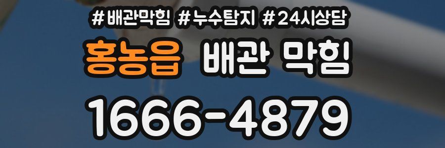 홍농읍 배관 막힘