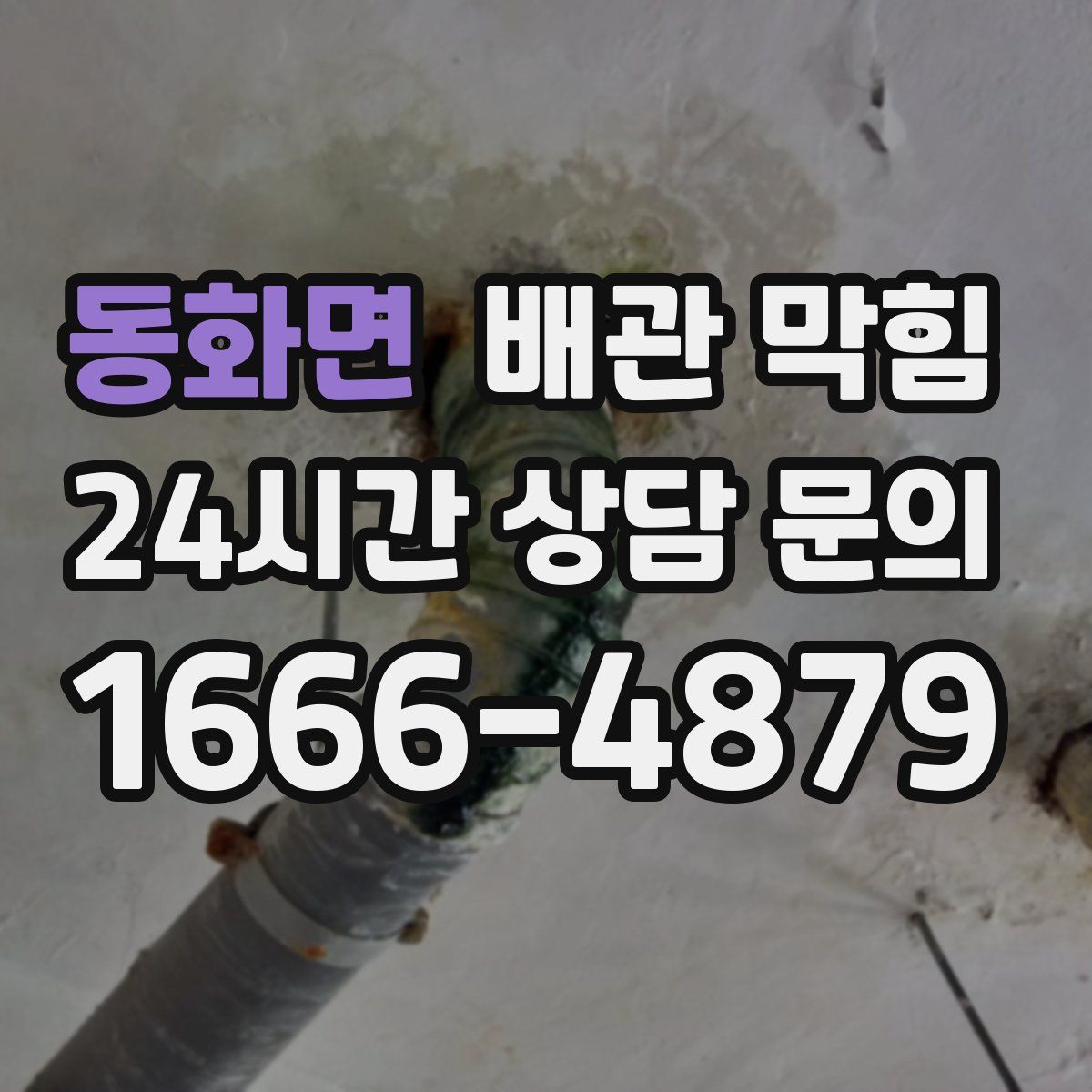 동화면 배관 막힘