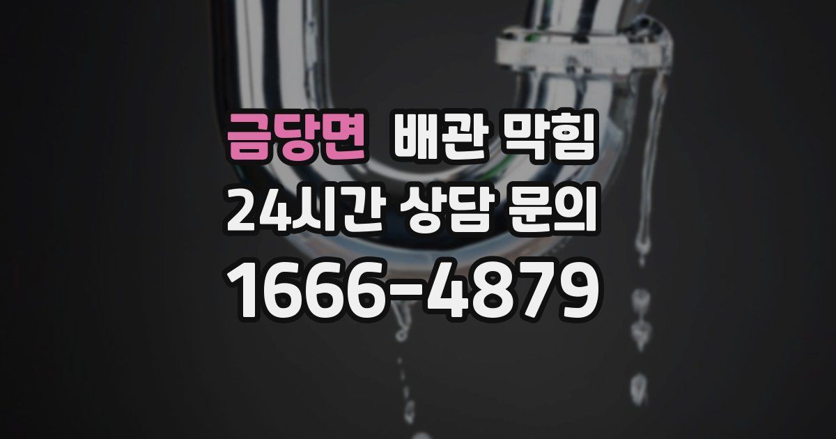 금당면 배관 막힘