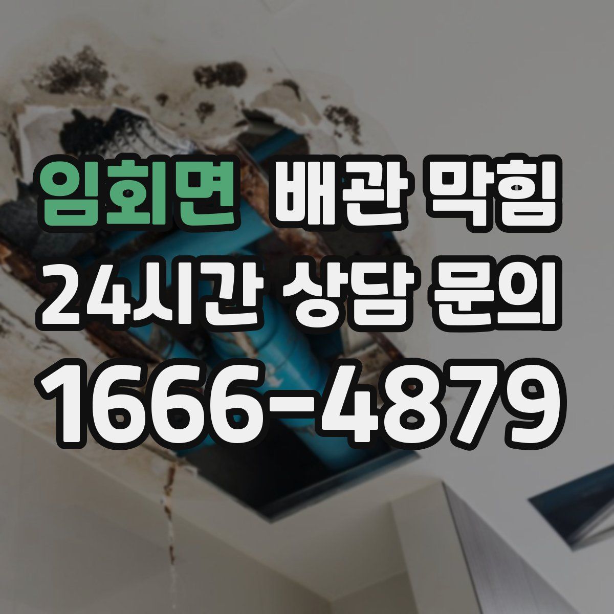 임회면 배관 막힘