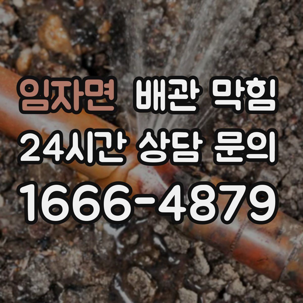 임자면 배관 막힘 세탁실 보풀 찌꺼기 유입을 줄이는 방법