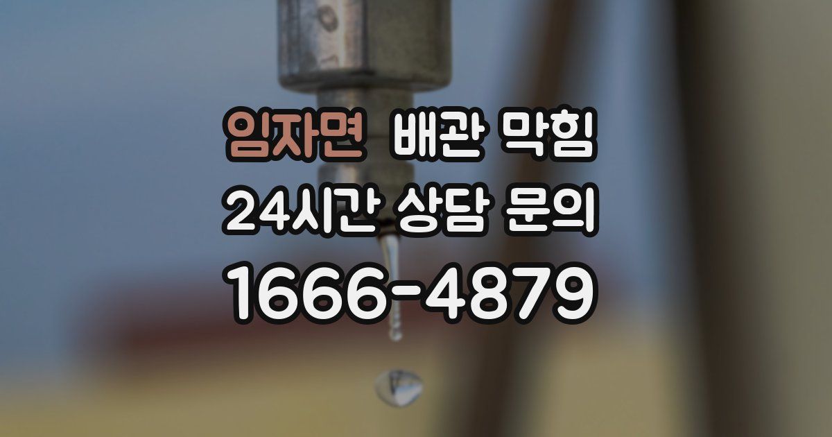 임자면 배관 막힘