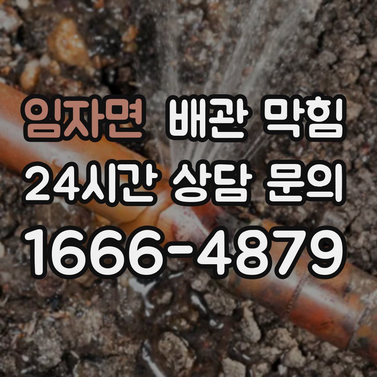 임자면 배관 막힘