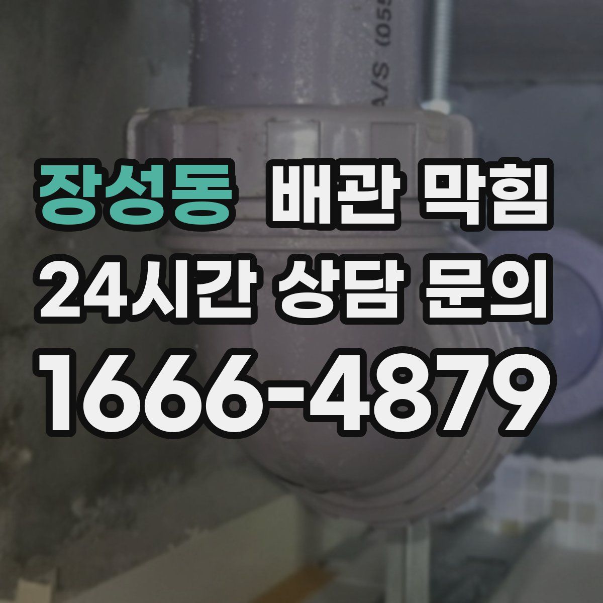 장성동 배관 막힘