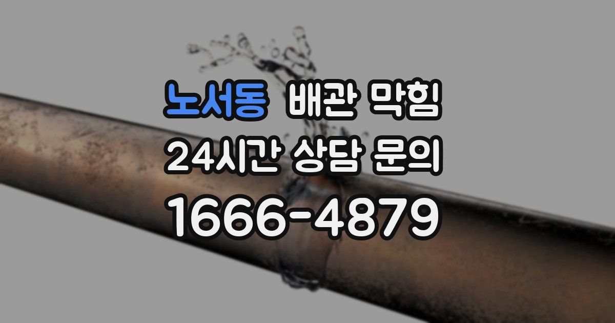 노서동 배관 막힘