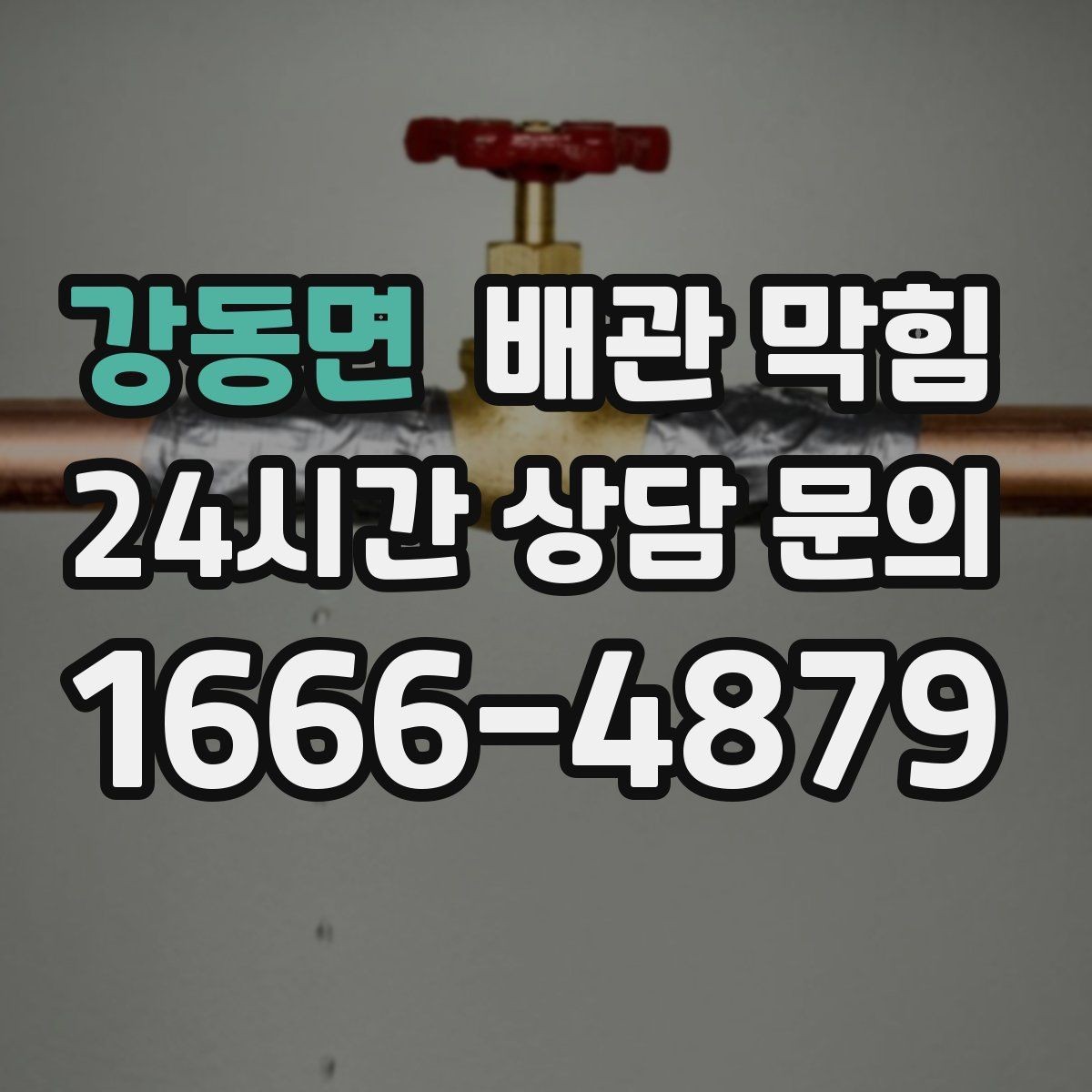 강동면 배관 막힘 주방(배수) 관리 물이 고이면 원인부터 좁혀보세요