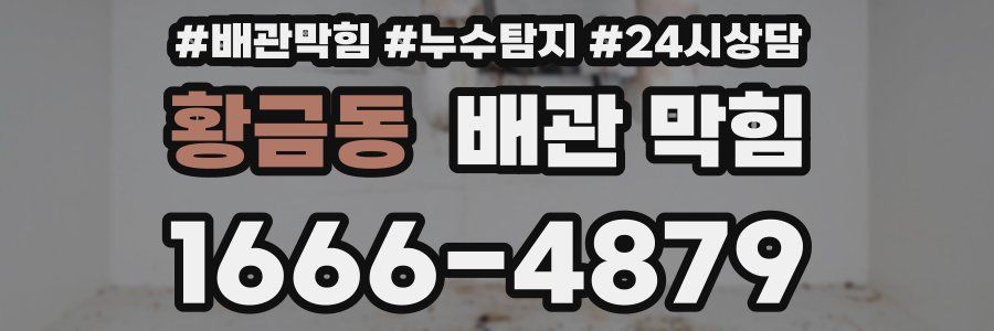 황금동 배관 막힘