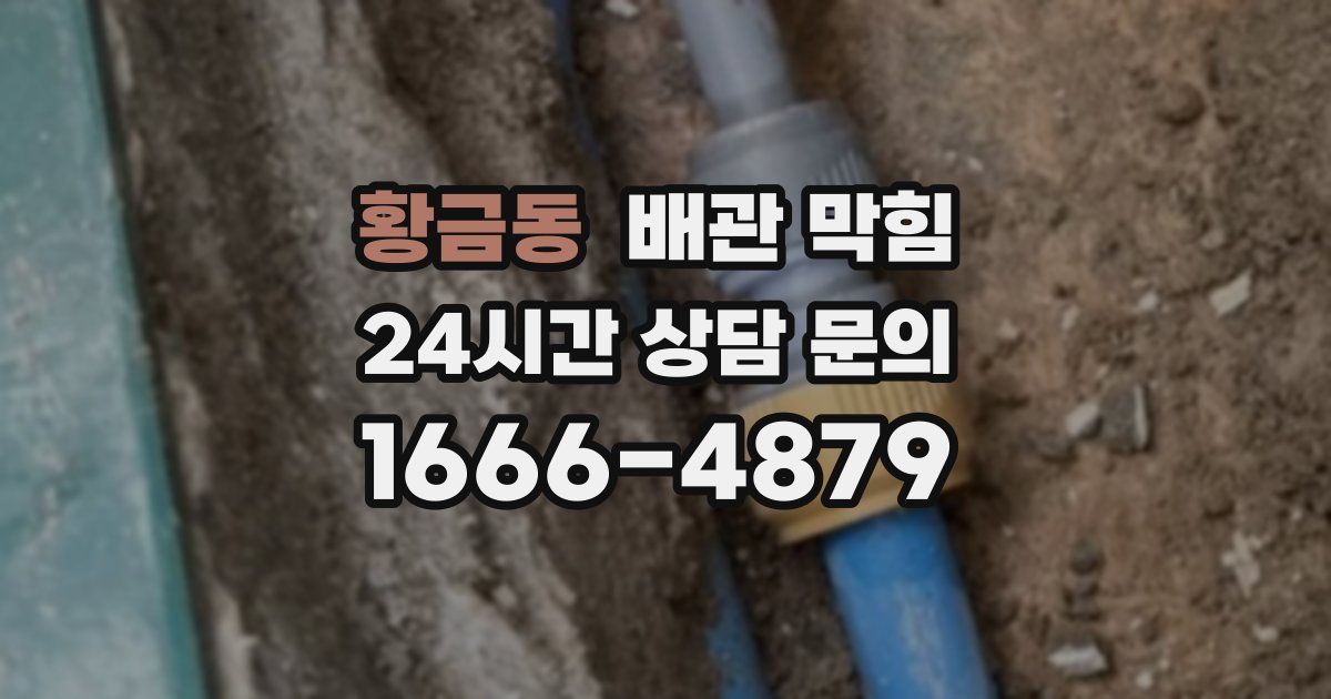 황금동 배관 막힘