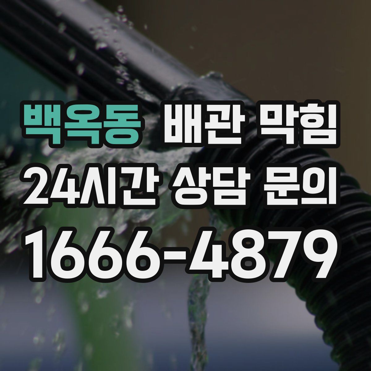 백옥동 배관 막힘