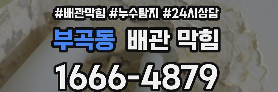 부곡동 배관 막힘
