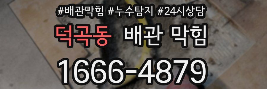덕곡동 배관 막힘