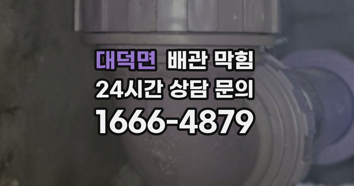 대덕면 배관 막힘