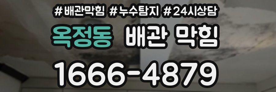 옥정동 배관 막힘