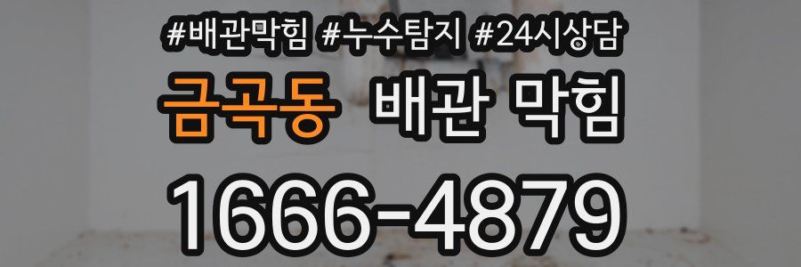 금곡동 배관 막힘