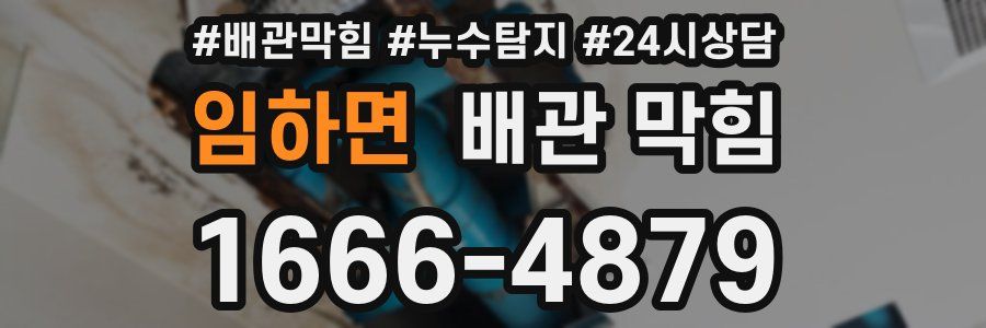 임하면 배관 막힘