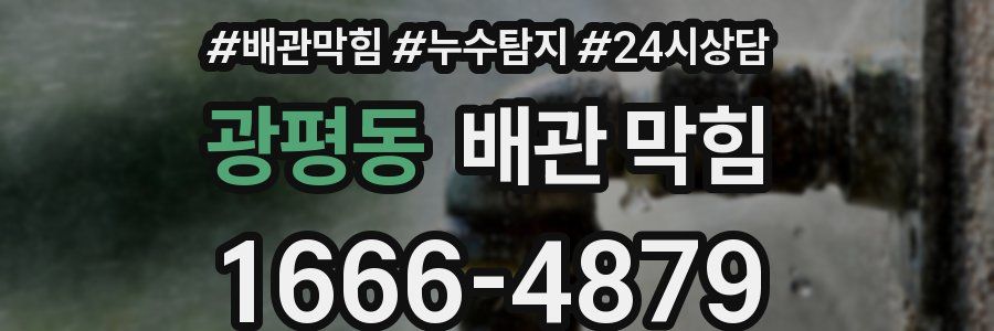 광평동 배관 막힘