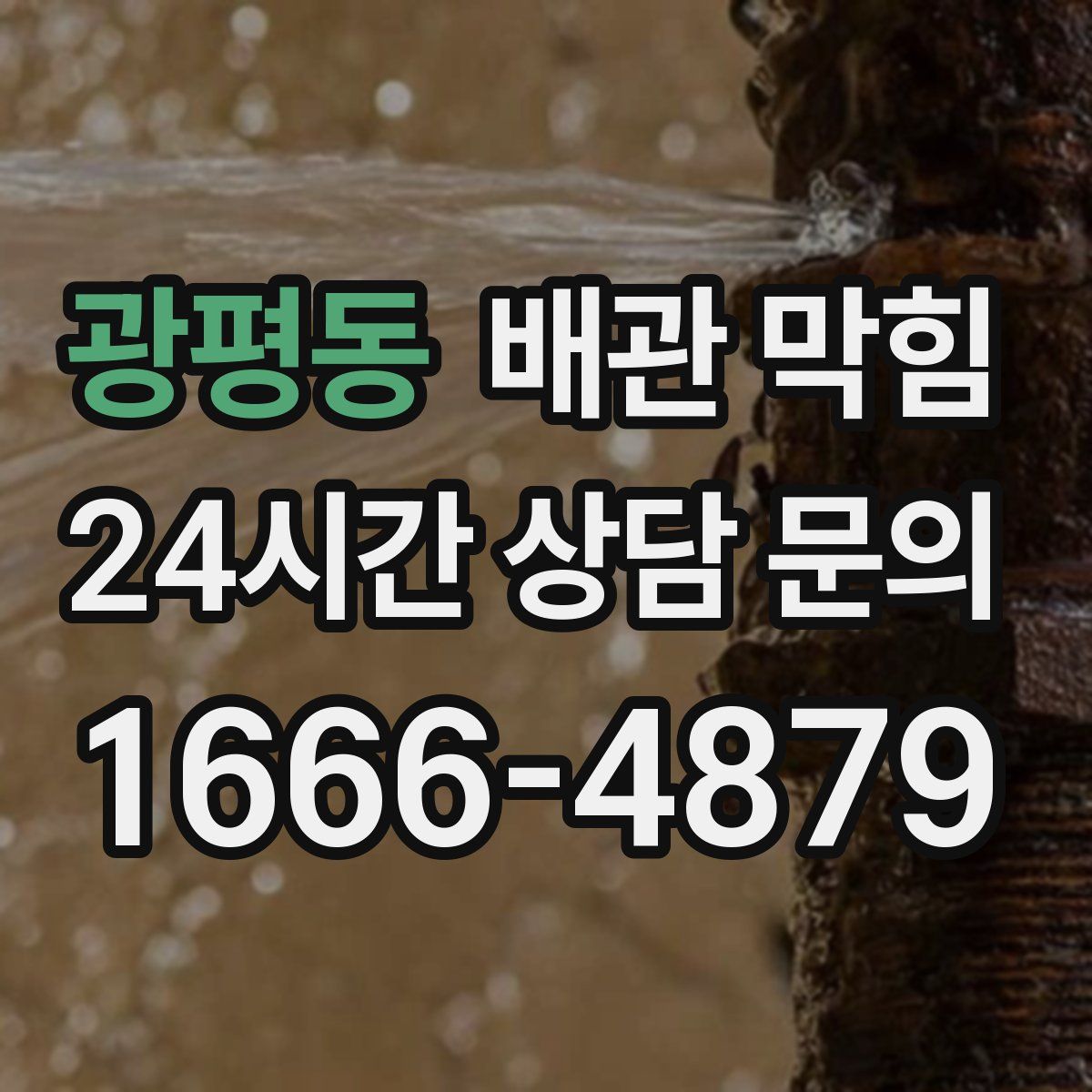 광평동 배관 막힘