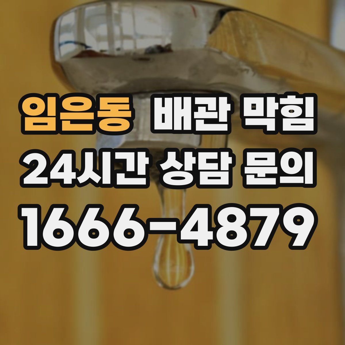 임은동 배관 막힘