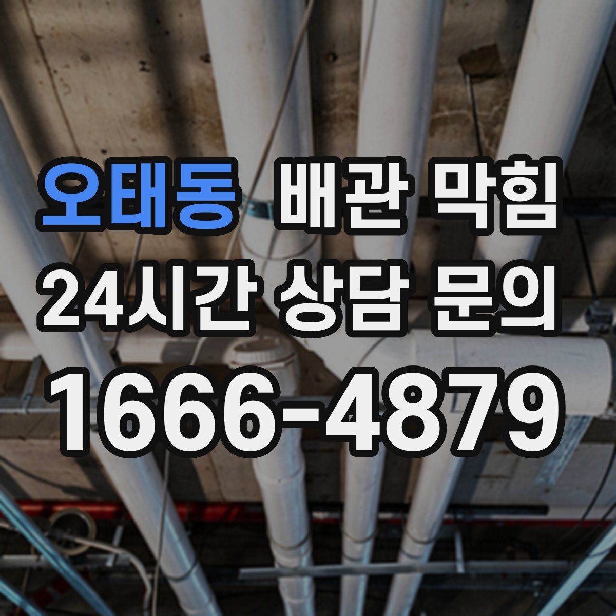 오태동 배관 막힘