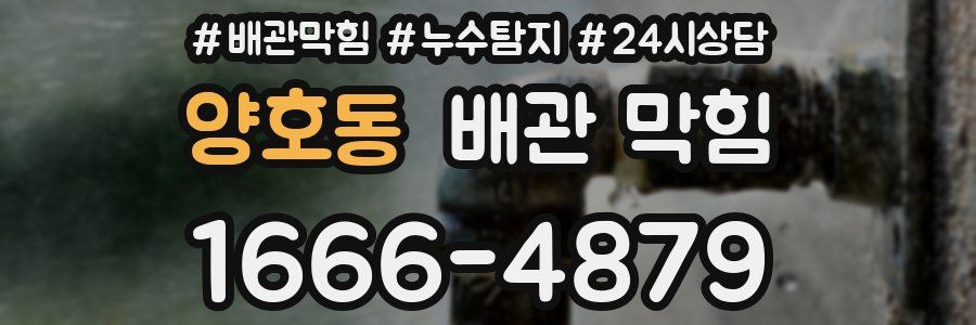 양호동 배관 막힘