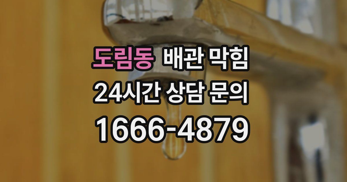 도림동 배관 막힘