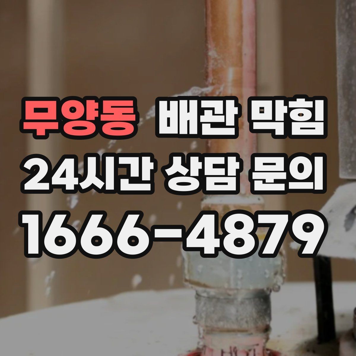 무양동 배관 막힘 배수구에서 검은 찌꺼기가 올라오면
