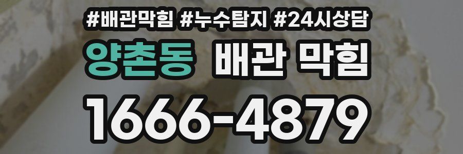 양촌동 배관 막힘