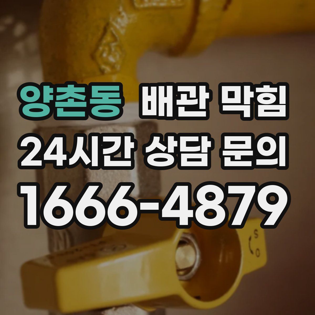 양촌동 배관 막힘