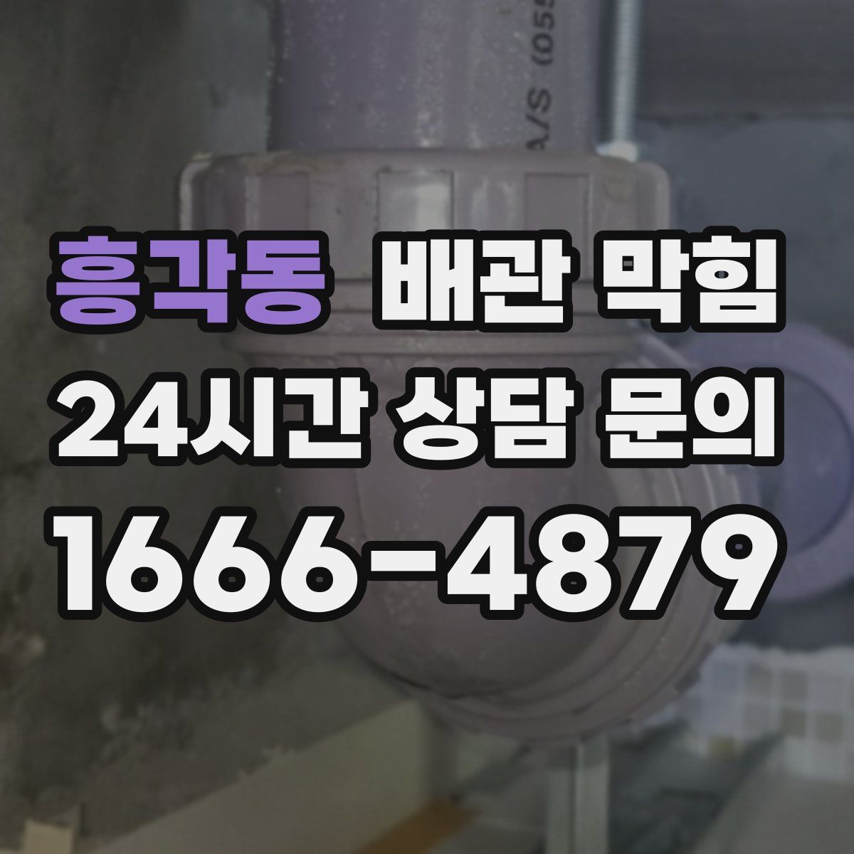 흥각동 배관 막힘