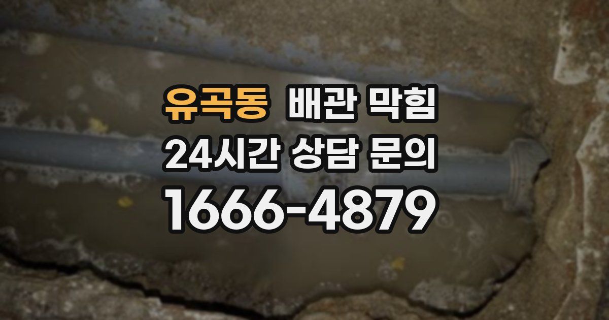 유곡동 배관 막힘