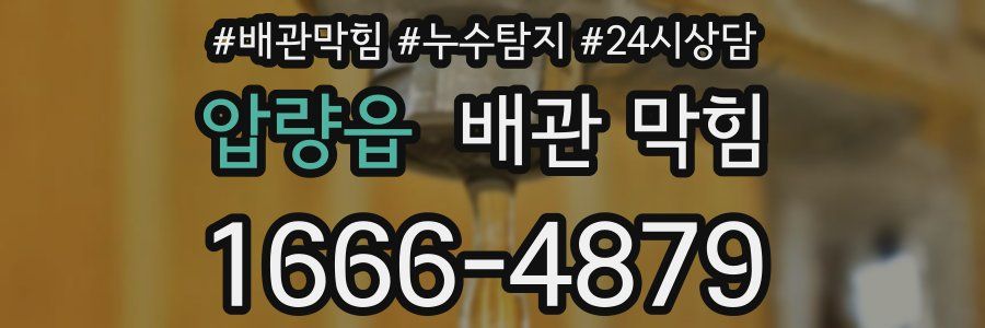 압량읍 배관 막힘