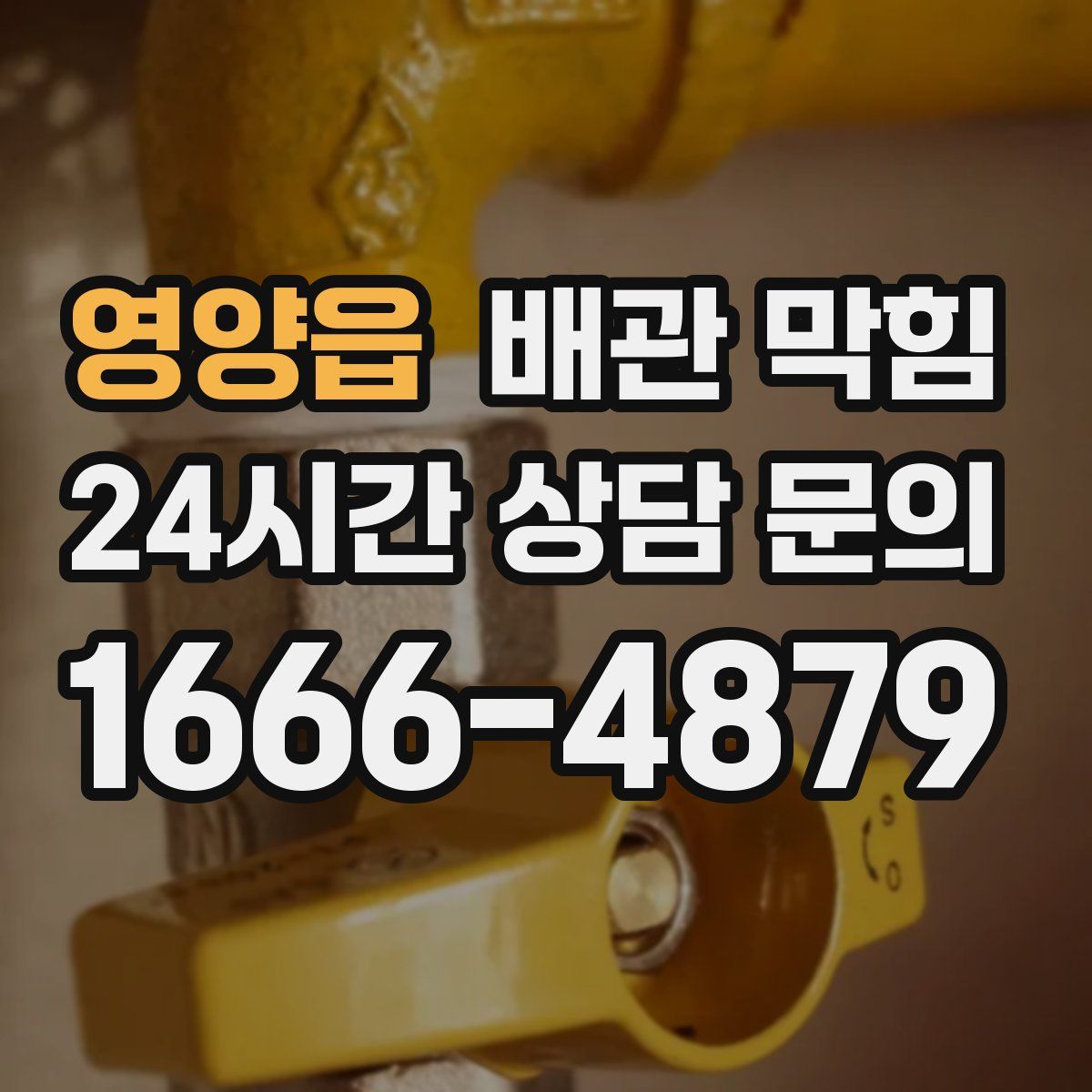 영양읍 배관 막힘