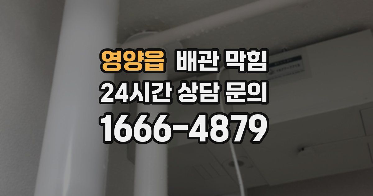 영양읍 배관 막힘