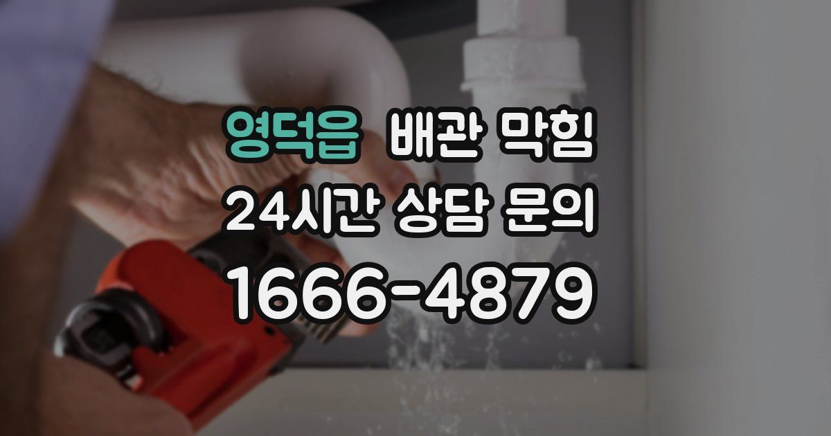영덕읍 배관 막힘