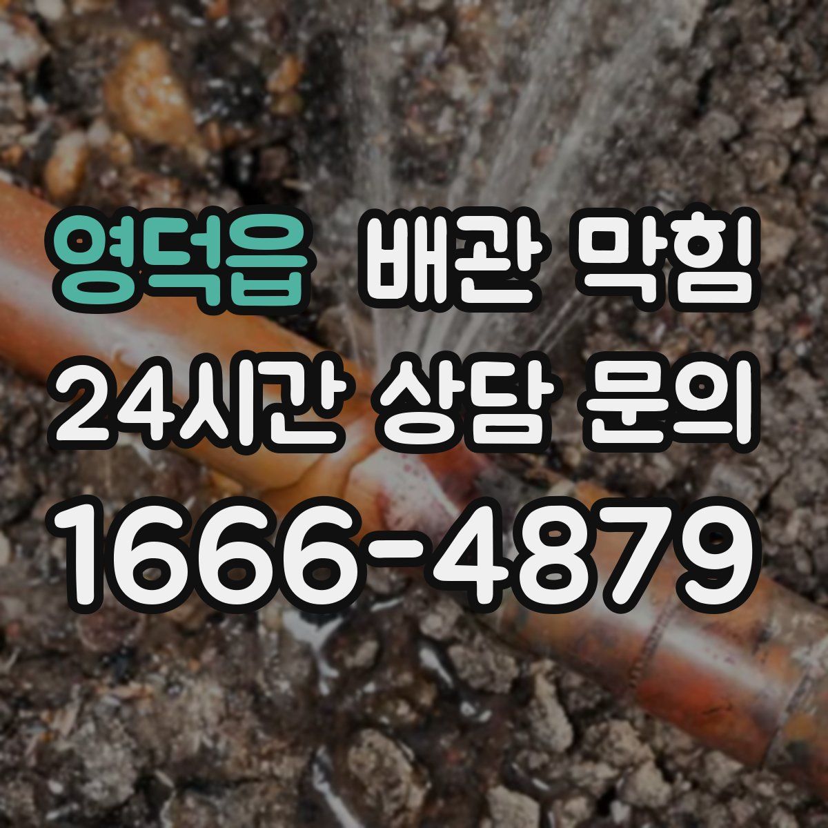 영덕읍 배관 막힘