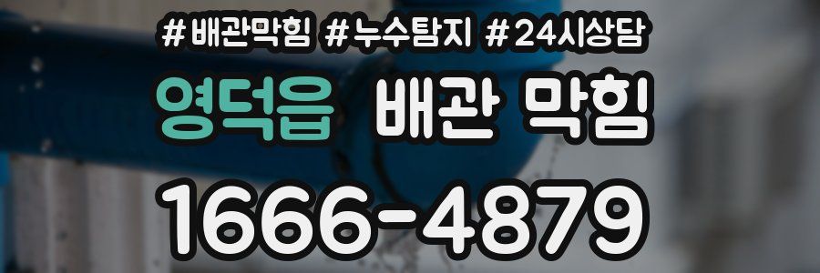영덕읍 배관 막힘