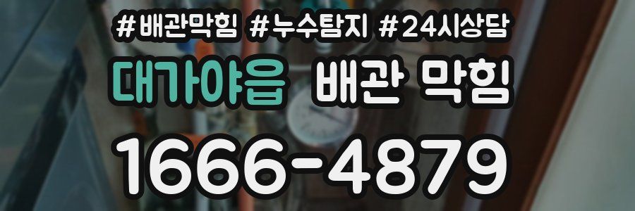 대가야읍 배관 막힘