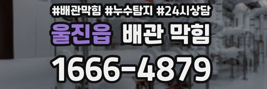 울진읍 배관 막힘