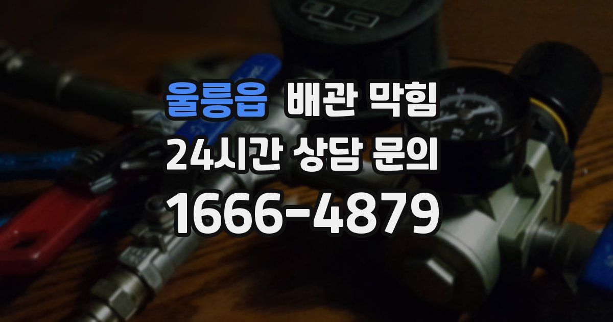 울릉읍 배관 막힘