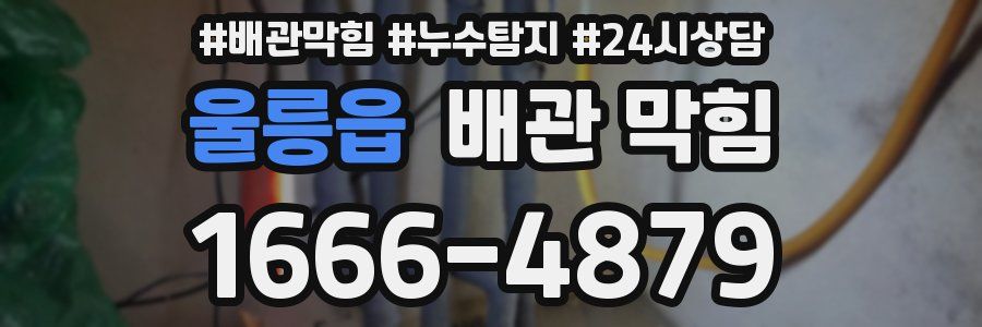 울릉읍 배관 막힘