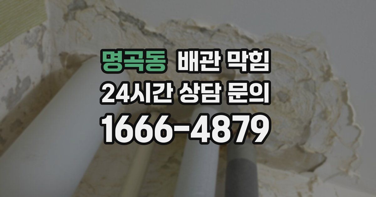 명곡동 배관 막힘