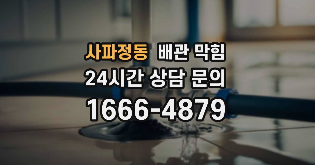 사파정동 배관 막힘