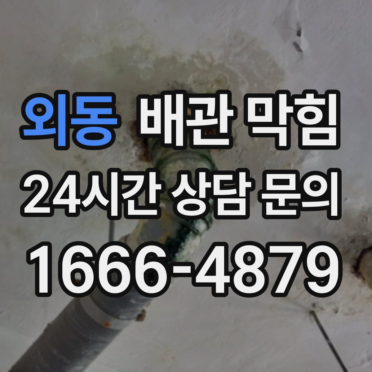 외동 배관 막힘