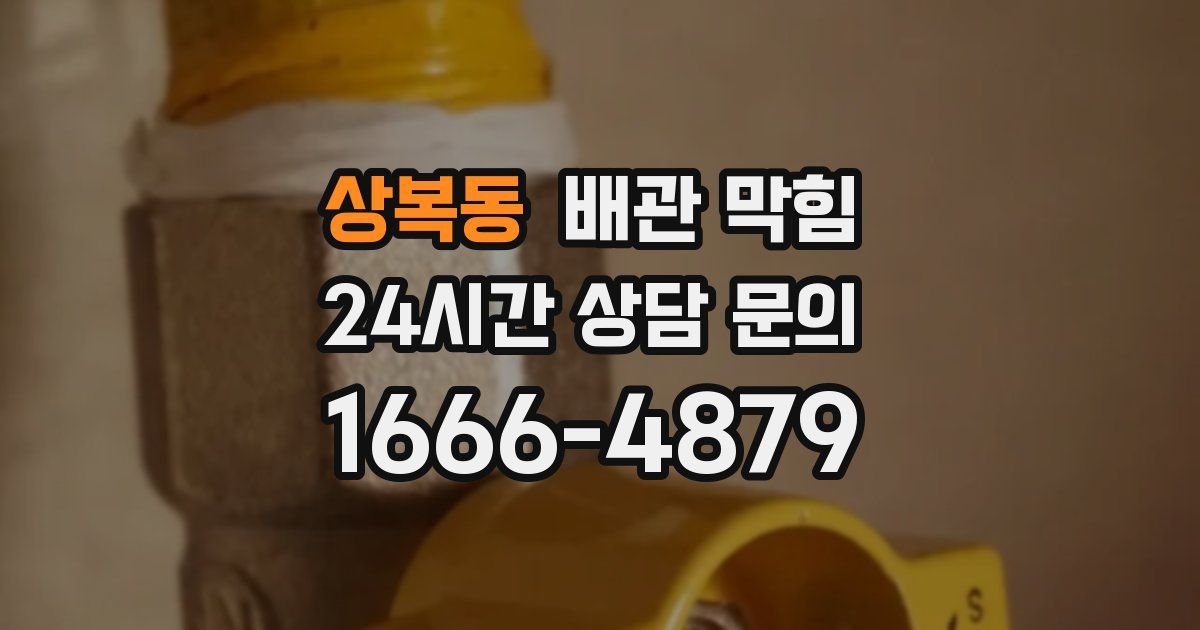 상복동 배관 막힘