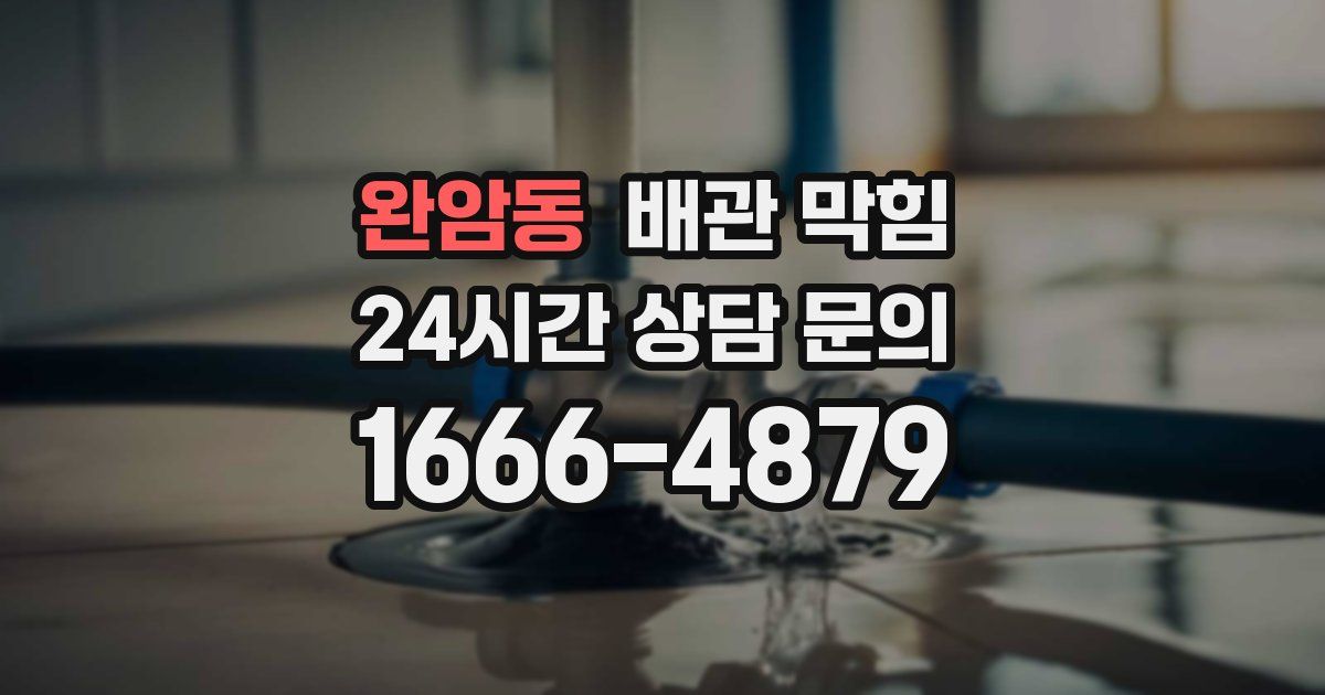 완암동 배관 막힘